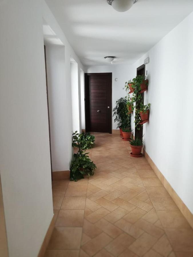 Estudio San Pedro-Corredera Кордова Екстер'єр фото